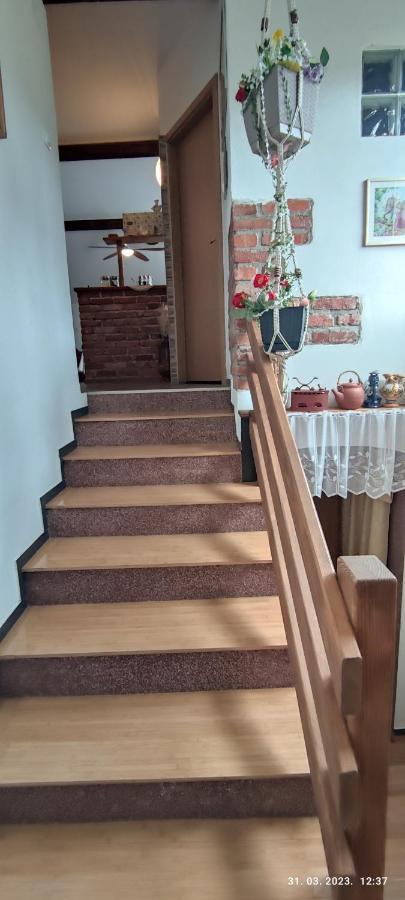 Apartamento Liammarco Plaški Exterior foto
